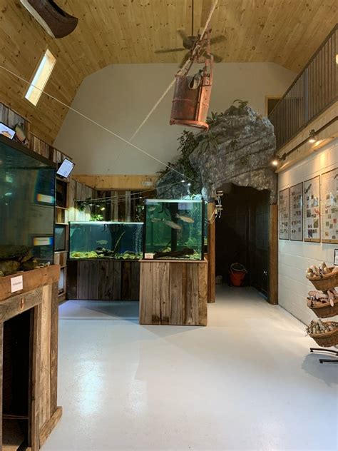The Appalachian Rivers Aquarium in downtown Bryson City is now open on Thursdays, Fridays & Saturdays, 10 am - 4 pm. Featuring native species, we currently h...